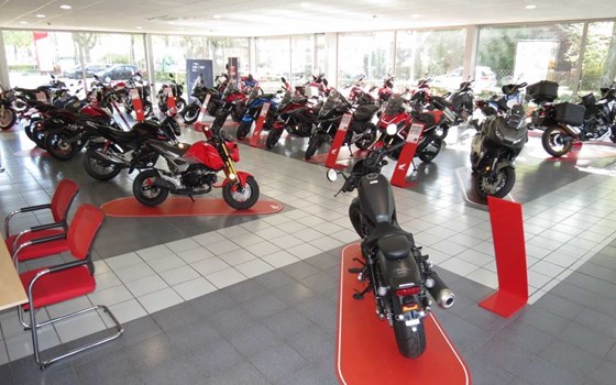 Neufahrzeug Honda CB650R E-Clutch - Bild 10