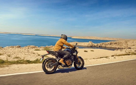 Neufahrzeug Honda CB650R E-Clutch - Bild 8