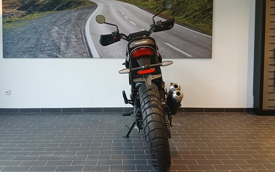Neufahrzeug Triumph Scrambler 400 X - Bild 6