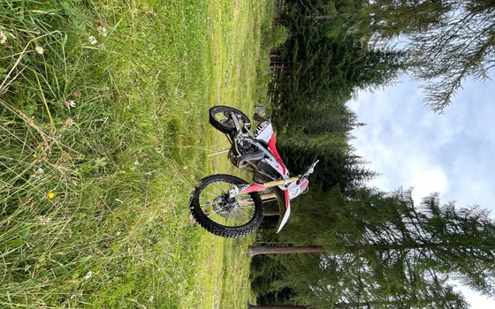 Gebrauchtmotorrad Vent Baja RR 50 - Bild 5 Gebrauchtmotorrad Vent Baja RR 50 - Bild 5