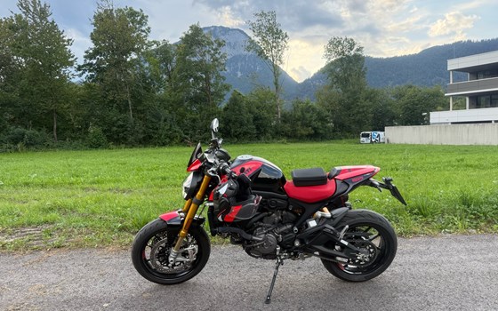Gebrauchtmotorrad Ducati Monster SP - Bild 5 Gebrauchtmotorrad Ducati Monster SP - Bild 5