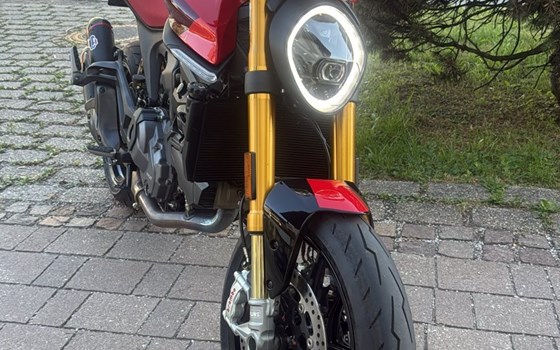 Gebrauchtmotorrad Ducati Monster SP - Bild 2 Gebrauchtmotorrad Ducati Monster SP - Bild 2