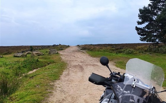Gebrauchtmotorrad BMW R 1200 GS - Bild 10 Gebrauchtmotorrad BMW R 1200 GS - Bild 10