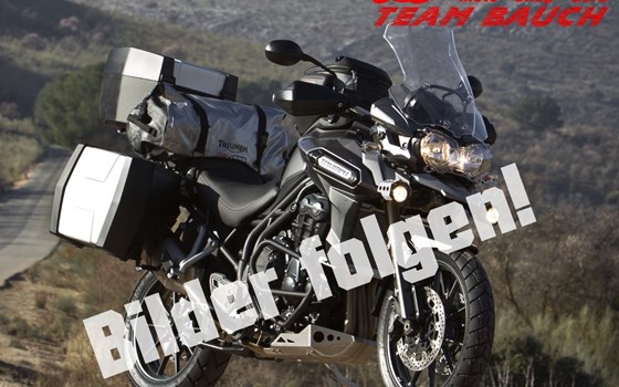 Gebrauchtmotorrad Triumph Tiger 1200 Rally Explorer - Bild 1