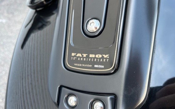 Gebrauchtmotorrad Harley-Davidson Fat Boy 30th Anniversary - Bild 13 Gebrauchtmotorrad Harley-Davidson Fat Boy 30th Anniversary - Bild 13