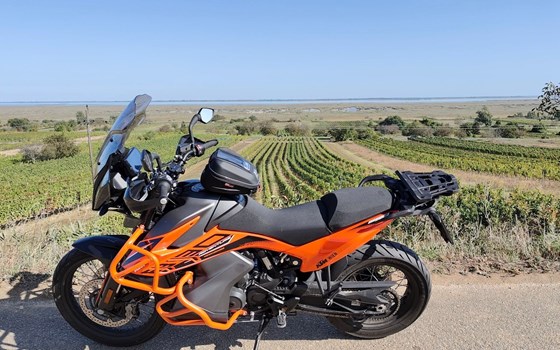 Gebrauchtmotorrad KTM 890 Adventure - Bild 5