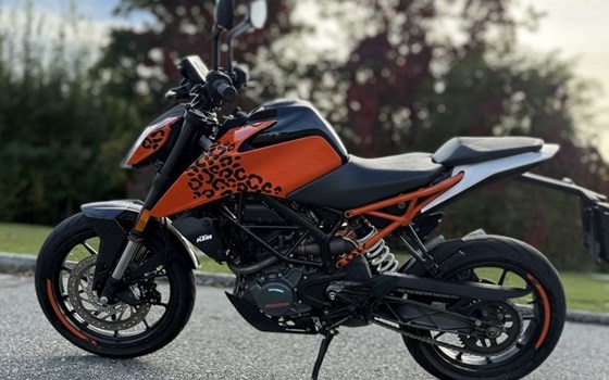 Gebrauchtmotorrad KTM 125 Duke - Bild 2 Gebrauchtmotorrad KTM 125 Duke - Bild 2