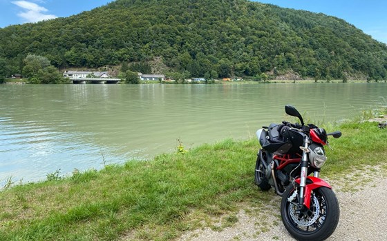 Gebrauchtmotorrad Ducati Monster 796 - Bild 5 Gebrauchtmotorrad Ducati Monster 796 - Bild 5