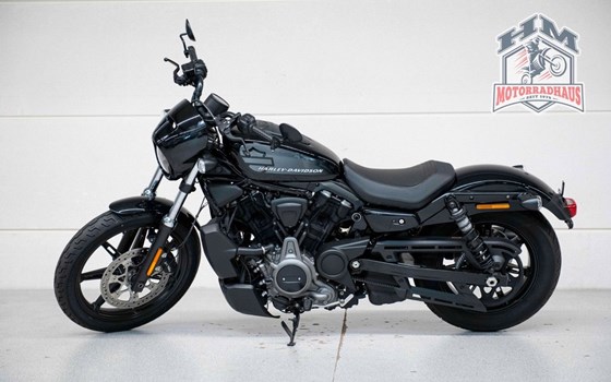 Gebrauchtmotorrad Harley-Davidson Nightster - Bild 4