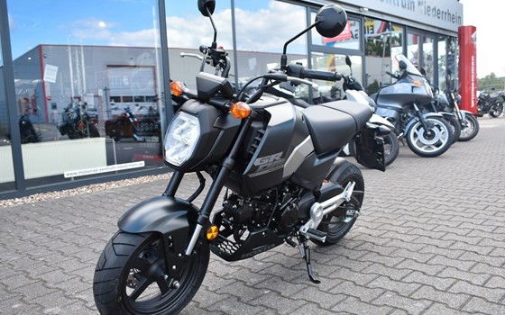 Gebrauchtmotorrad Honda MSX125 Grom - Bild 2