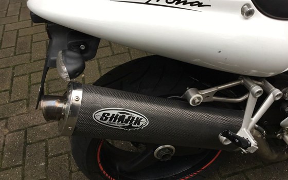 Gebrauchtmotorrad Triumph Daytona T 595 - Bild 16