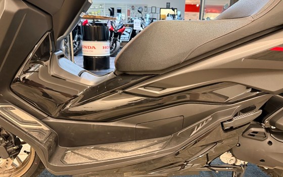 Gebrauchtmotorrad Honda Forza 125 - Bild 3