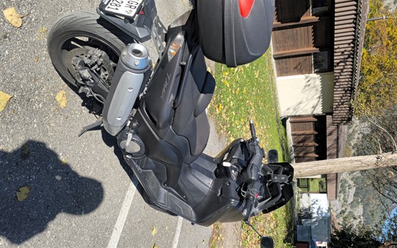 Motorrad Occasion Yamaha T-MAX 530 ABS - Bild 1