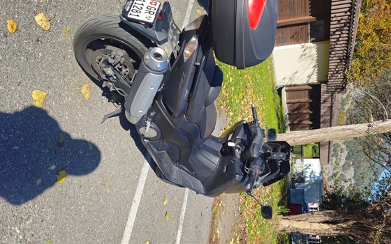 Motorrad Occasion Yamaha T-MAX 530 ABS - Bild 2