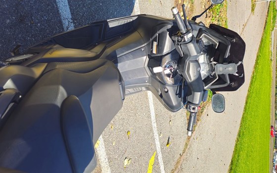 Motorrad Occasion Yamaha T-MAX 530 ABS - Bild 4