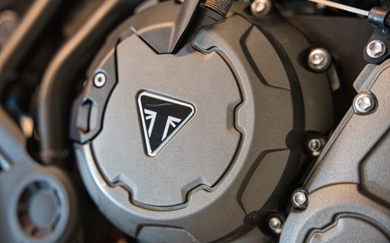 Gebrauchtmotorrad Triumph Tiger 900 GT Pro - Bild 18