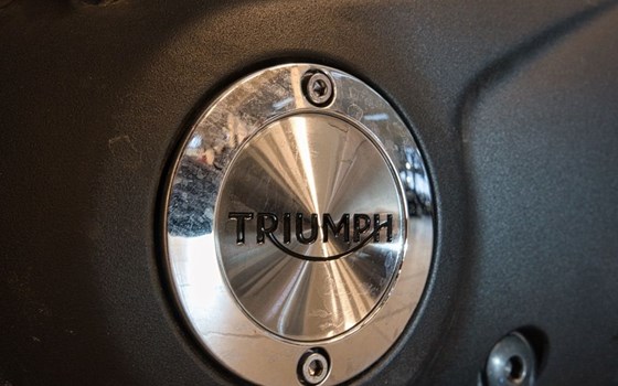 Gebrauchtmotorrad Triumph Bonneville T120 Black - Bild 19