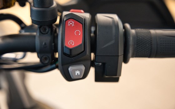 Gebrauchtmotorrad Triumph Tiger 900 Rally Pro - Bild 13