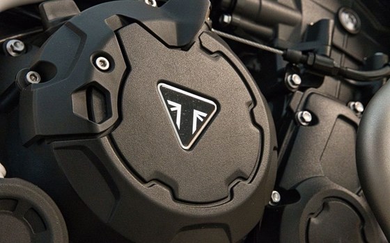 Gebrauchtmotorrad Triumph Tiger 900 Rally Pro - Bild 19