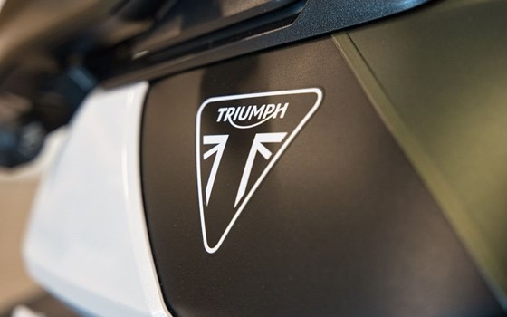Gebrauchtmotorrad Triumph Tiger 900 Rally Pro - Bild 20