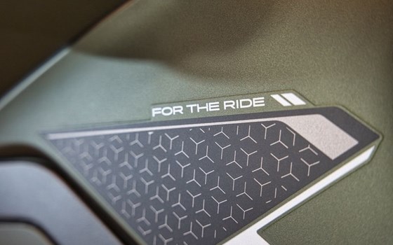 Gebrauchtmotorrad Triumph Tiger 900 Rally Pro - Bild 21