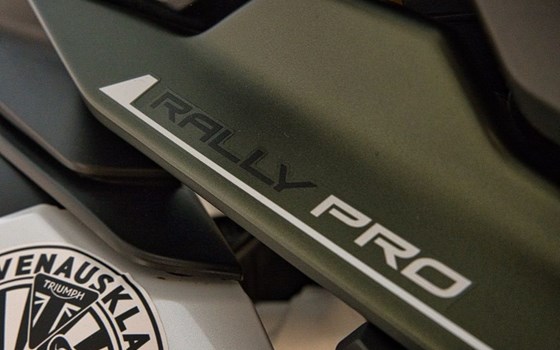 Gebrauchtmotorrad Triumph Tiger 900 Rally Pro - Bild 23
