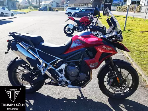 Triumph Tiger 1200 GT PRO<br />MY 2025 zum Aktionspreis