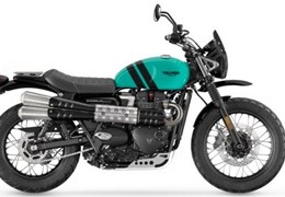 Neumotorrad Triumph Scrambler 900