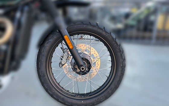 Neufahrzeug Triumph Scrambler 900 - Bild 12