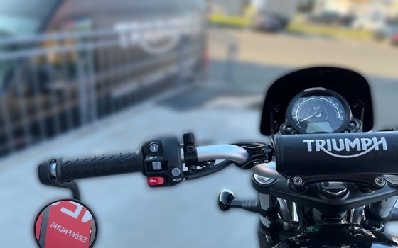 Neufahrzeug Triumph Scrambler 900 - Bild 16