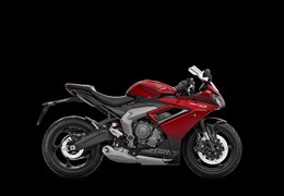 Neumotorrad Triumph Daytona 660