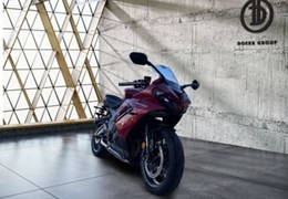 Neumotorrad Triumph Daytona 660