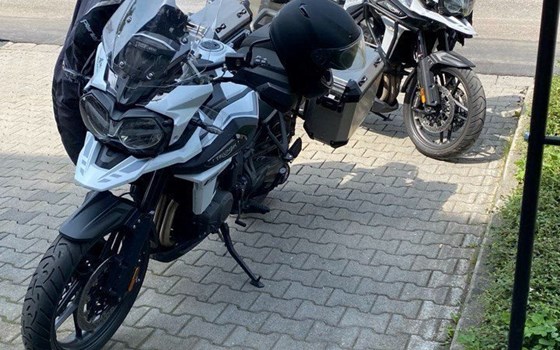 Gebrauchtmotorrad Triumph Tiger 1200 Alpine Edition - Bild 3