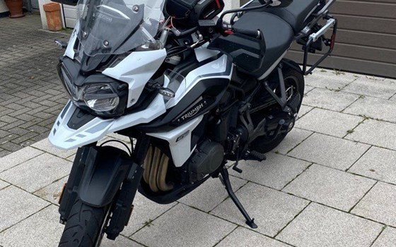 Gebrauchtmotorrad Triumph Tiger 1200 Alpine Edition - Bild 5