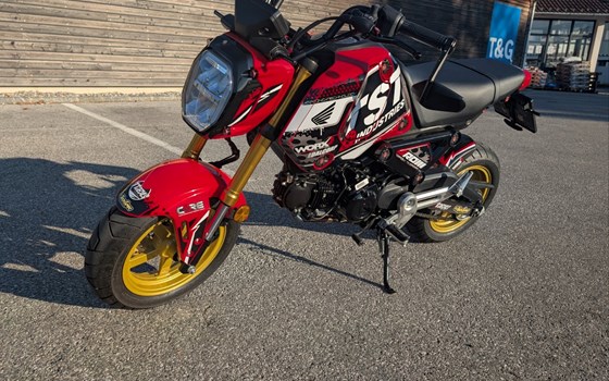 Gebrauchtmotorrad Honda MSX125 Grom - Bild 2 Gebrauchtmotorrad Honda MSX125 Grom - Bild 2