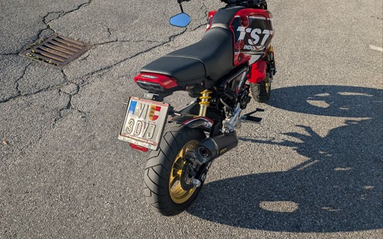Gebrauchtmotorrad Honda MSX125 Grom - Bild 3 Gebrauchtmotorrad Honda MSX125 Grom - Bild 3