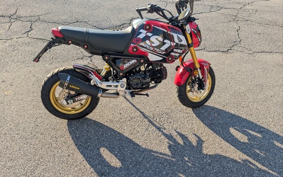 Gebrauchtmotorrad Honda MSX125 Grom - Bild 5 Gebrauchtmotorrad Honda MSX125 Grom - Bild 5