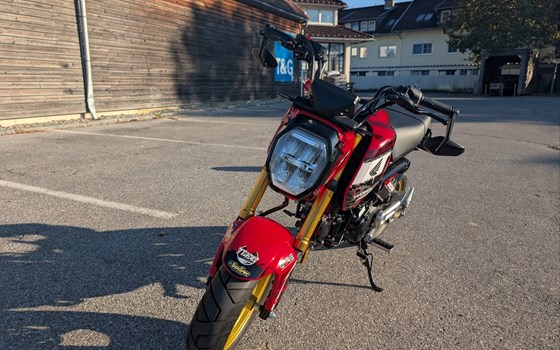 Gebrauchtmotorrad Honda MSX125 Grom - Bild 7 Gebrauchtmotorrad Honda MSX125 Grom - Bild 7