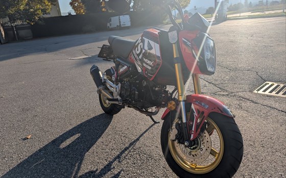 Gebrauchtmotorrad Honda MSX125 Grom - Bild 8 Gebrauchtmotorrad Honda MSX125 Grom - Bild 8