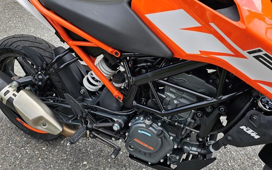 Motorrad Occasion KTM 125 Duke - Bild 2