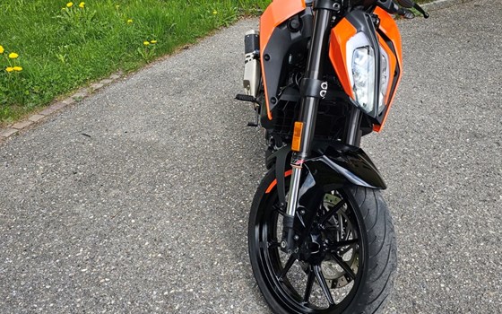 Motorrad Occasion KTM 125 Duke - Bild 5
