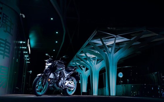 Gebrauchtmotorrad Yamaha MT-03 - Bild 3