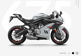 Gebrauchte CFMOTO 675SR-R