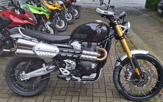 Gebrauchtmotorrad Triumph Scrambler 1200 XE - Bild 1