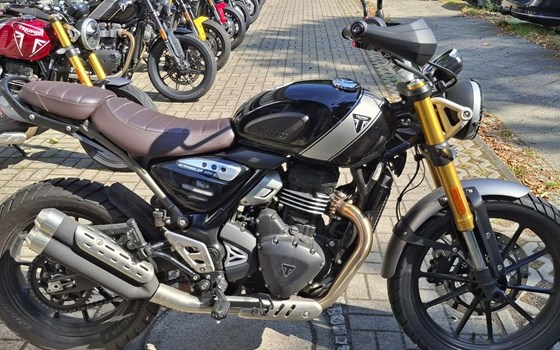 Gebrauchtmotorrad Triumph Scrambler 400 X - Bild 1