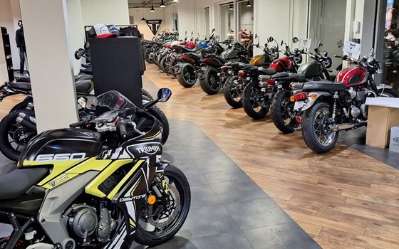 Gebrauchtmotorrad Triumph Scrambler 400 X - Bild 6