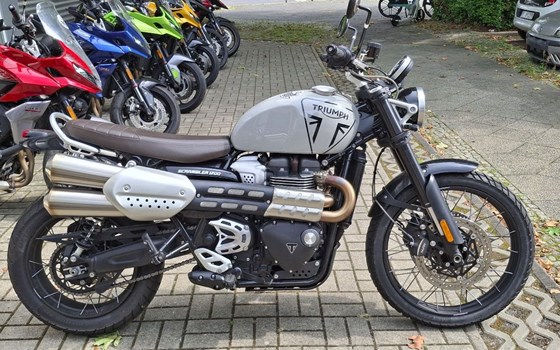 Gebrauchtmotorrad Triumph Scrambler 1200 X - Bild 1