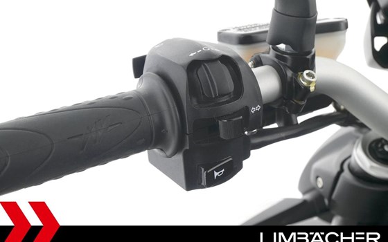 Gebrauchtmotorrad MV Agusta Brutale 800 RR - Bild 19