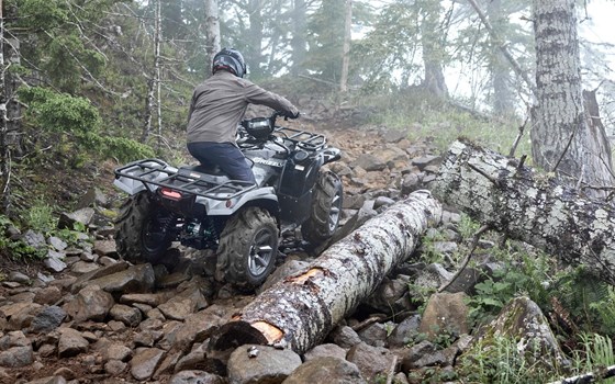 Neufahrzeug Yamaha Grizzly 700 EPS SE - Bild 3 Neufahrzeug Yamaha Grizzly 700 EPS SE - Bild 3