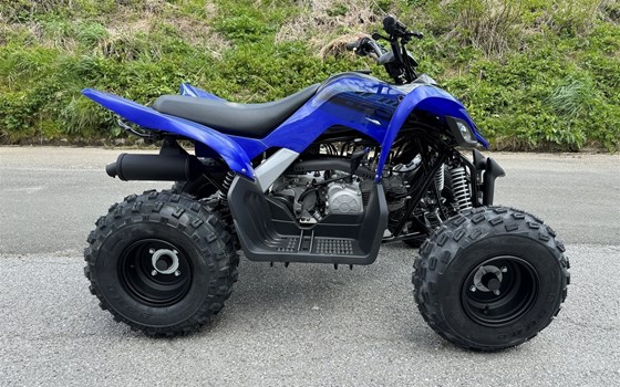 Neufahrzeug Yamaha YFM110R - Bild 3 Neufahrzeug Yamaha YFM110R - Bild 3